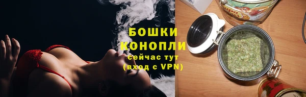 PSILOCYBIN Богородицк