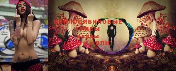 PSILOCYBIN Богородицк