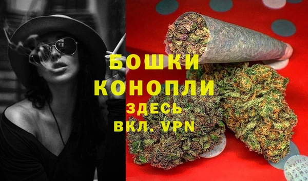 PSILOCYBIN Богородицк